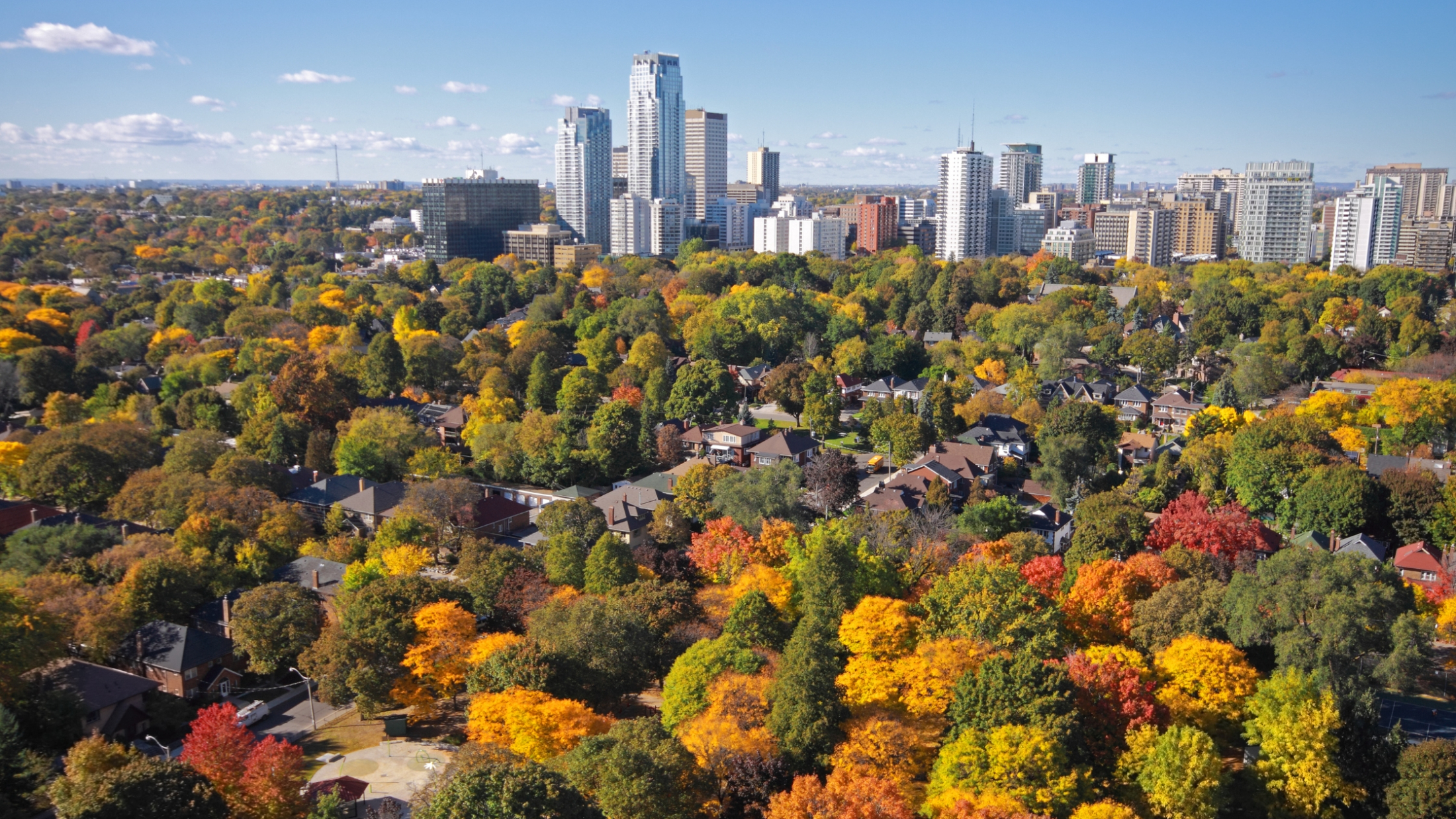 Why Buyers Love Toronto’s Midtown