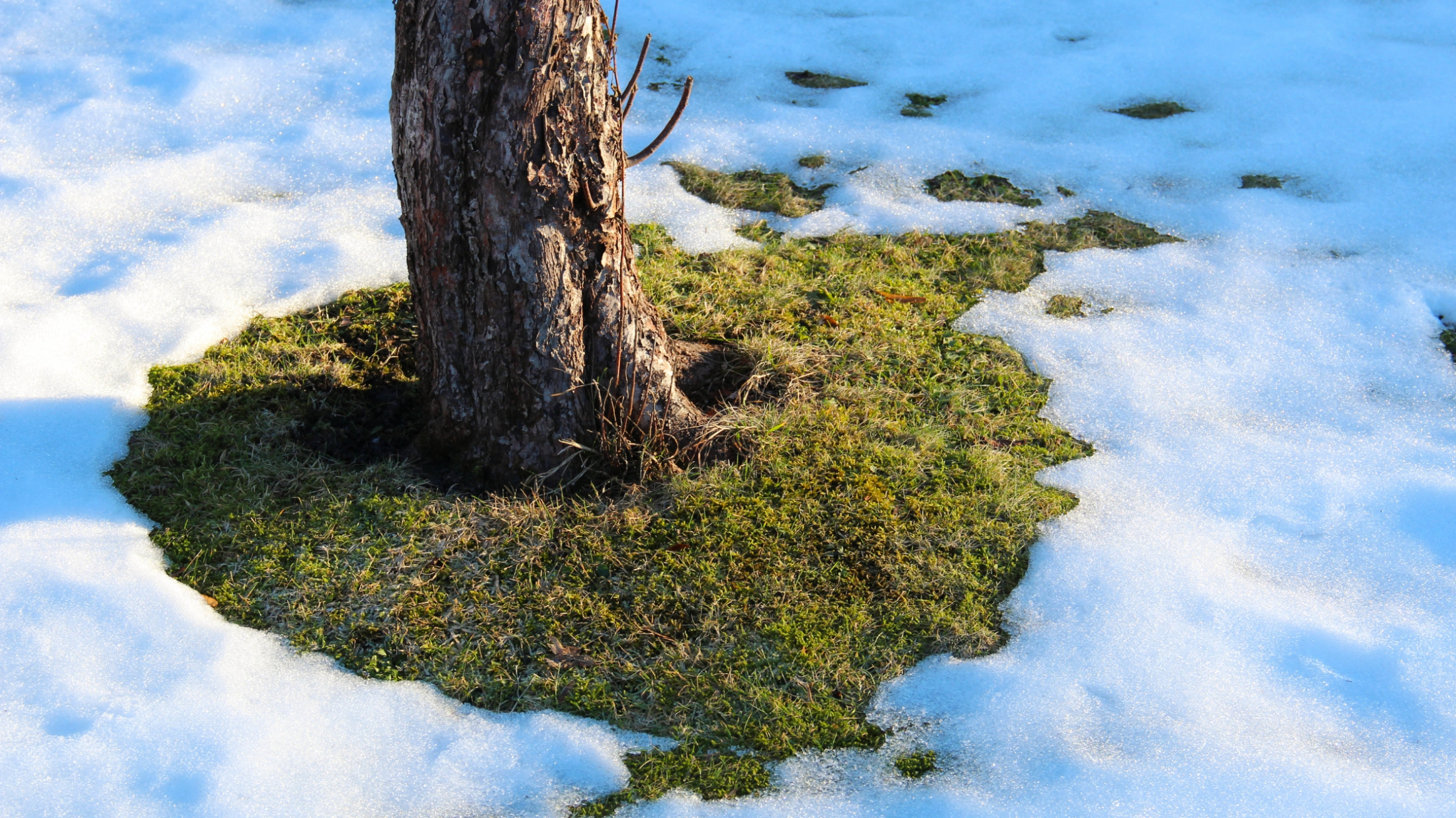 Snow Removal and Spring Home Maintenance for Toronto Homeowners