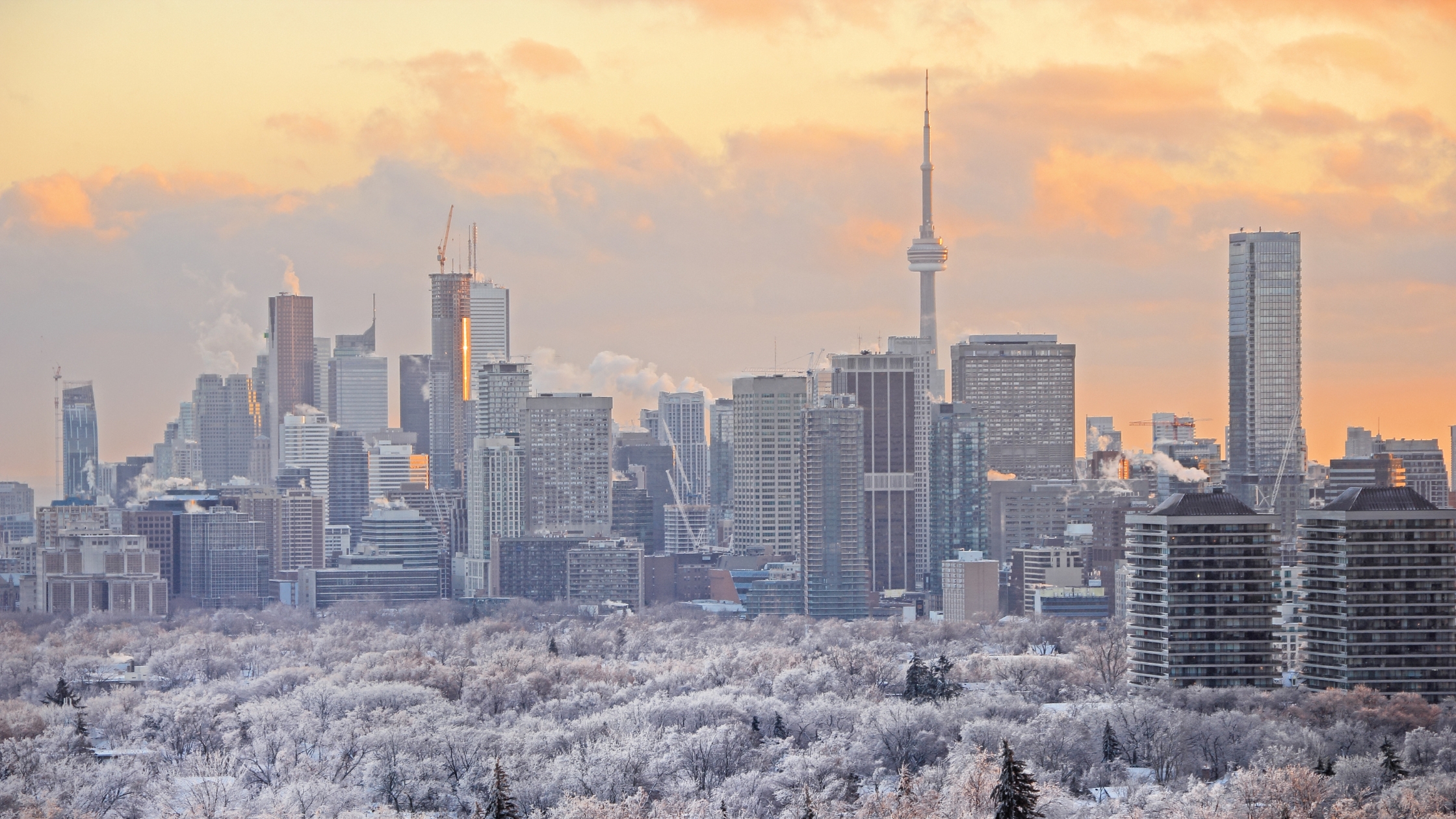 Forecast and Predictions: Winter Market 2025